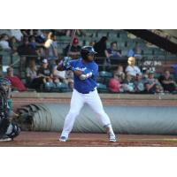 Evansville Otters at the plate