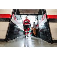 Belleville Senators defenceman Dillon Heatherington