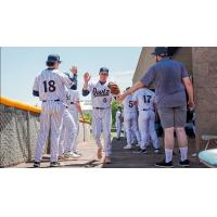 Northern Colorado Owlz infielder Tim Bouchard receives high fives from his teammates