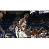 Niagara River Lions forward Antonio Davis Jr. vs. the Guelph Nighthawks