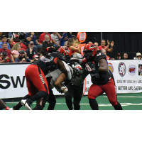 Jacksonville Sharks on the field