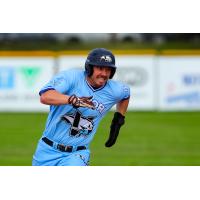 Victoria HarbourCats in action