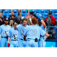 Victoria HarbourCats celebrate catcher Russell Young