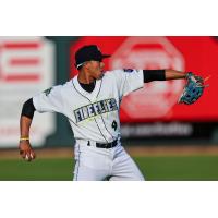 Gary Camarillo of the Columbia Fireflies