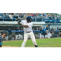 Tyeler Hawkins of the Fond du Lac Dock Spiders