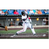 Jared Mang takes a swing for the Washington Wild Things