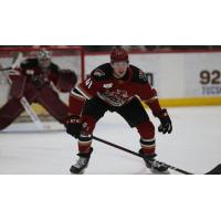 Cedric Lacroix with the Tucson Roadrunners