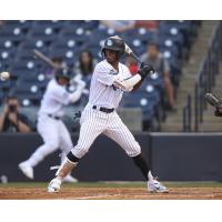 Tampa Tarpons await a pitch