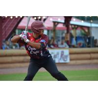 Lakeshore Chinooks at bat