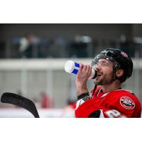 Belleville Senators forward Matthew Wedman