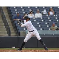 Tampa Tarpons' Marcos Cabrera at bat