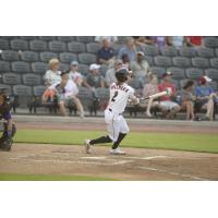 Fayetteville Woodpeckers' Jaxon Hallmark at bat