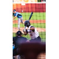 Wisconsin Rapids Rafters' Danta Maietta at bat