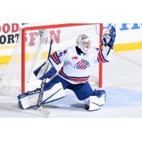 Rochester Americans goaltender Michael Houser