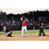 Rome Braves in action