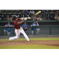 Kansas City Monarchs' Jan Hernandez in action