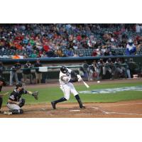 Telvin Nash at bat for the York Revolution