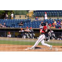 Willie Carter of the Rome Braves