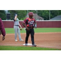 Wisconsin Rapids Rafters vs. Madison Mallards