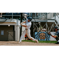 Nick Mitchell of the Fond Du Lac Dock Spiders in action