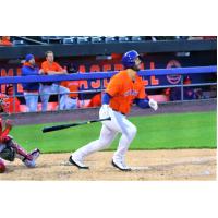 Daniel Palka of the Syracuse Mets