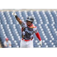 Tampa Tarpons left fielder Christopher Familia