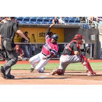 Paul McIntosh of the Pensacola Blue Wahoos reaches for home plate ahead of the tag