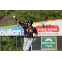 Missoula PaddleHeads outfielder Lamar Sparks