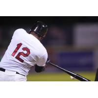 Tri-City ValleyCats' Denis Phipps in action