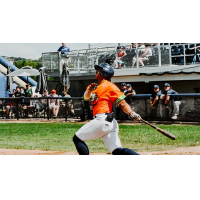 Fond du Lac Dock Spiders' Branden Comia in action