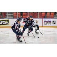 Defender Carson Haynes with the Tri-City Americans