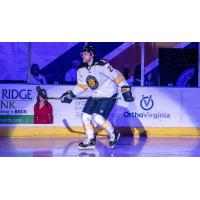 Norfolk Admirals defenseman Eric Williams