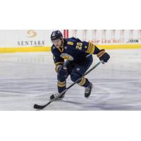 Norfolk Admirals defenseman Eric Williams