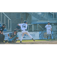 Evan Smith of the Fond du Lac Dock Spiders at bat