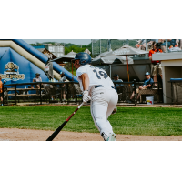 Cole Messina of the Fond Du Lac Dock Spiders