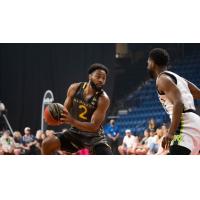 Hamilton Honey Badgers vs. the Niagara River Lions