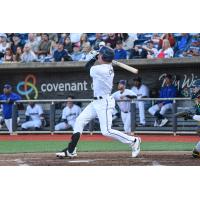 Pensacola Blue Wahoos in action