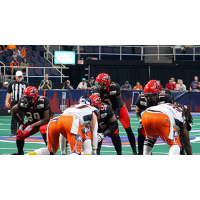 Jacksonville Sharks vs. Albany Empire