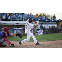 Fond du Lac Dock Spiders' Daylen Reyes at bat