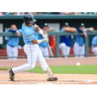 Columbia Fireflies' Hernandez Omar at Bat