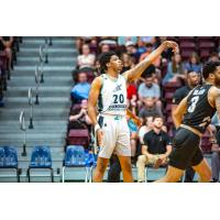 Scarborough Shooting Stars' Kameron Chatman