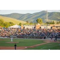 A big crowd watches the Missoula PaddleHeads at Ogren Park at Allegiance Field