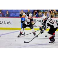 Vancouver Giants forward Zack Ostapchuk