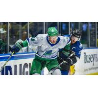 Florida Everblades forward Blake Winiecki