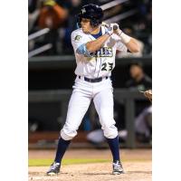 Columbia Fireflies' Darryl Collins at bat