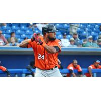 Long Island Ducks' Deibinson Romero at bat