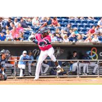 Pensacola Blue Wahoos in action