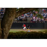 St. Cloud Rox' Charlie Condon