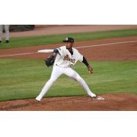 Charleston RiverDogs in action