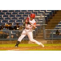 Ottawa Titans' Brendon Dadson at bat